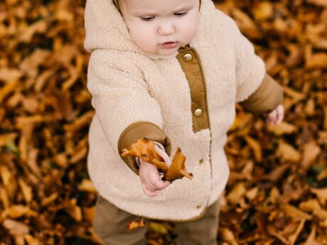 pexels-photo-3933390