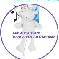 Flyer koffer woezel lr