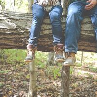 forest-woods-trees-log-nature-people