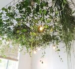 plafond met planten