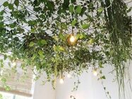 plafond met planten